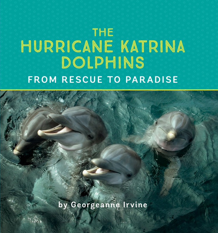The Hurricane Katrina Dolphins: From Rescue to Paradise